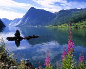 stunning photo of calm river with flowers in foreground and mountins in the background