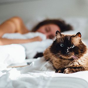 Woman sleeping with cat on the bed
