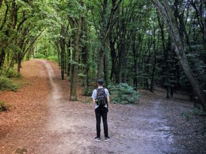 The choice is your which path to take.