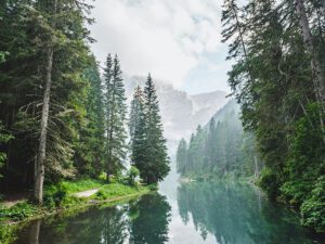 peaceful smppyj flowing river metaphor for your gut